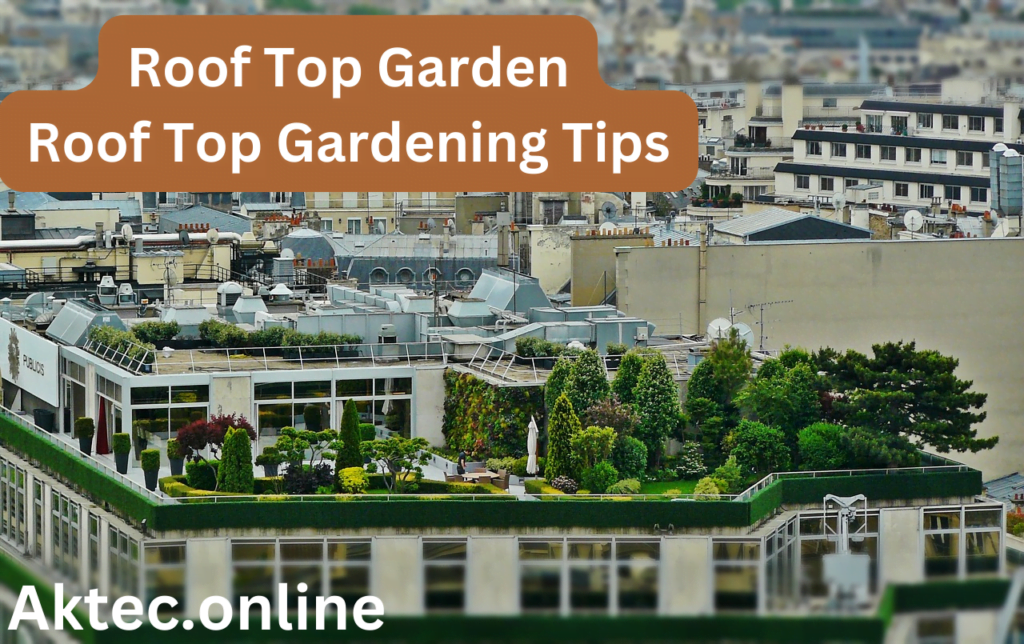 Roof Top Garden