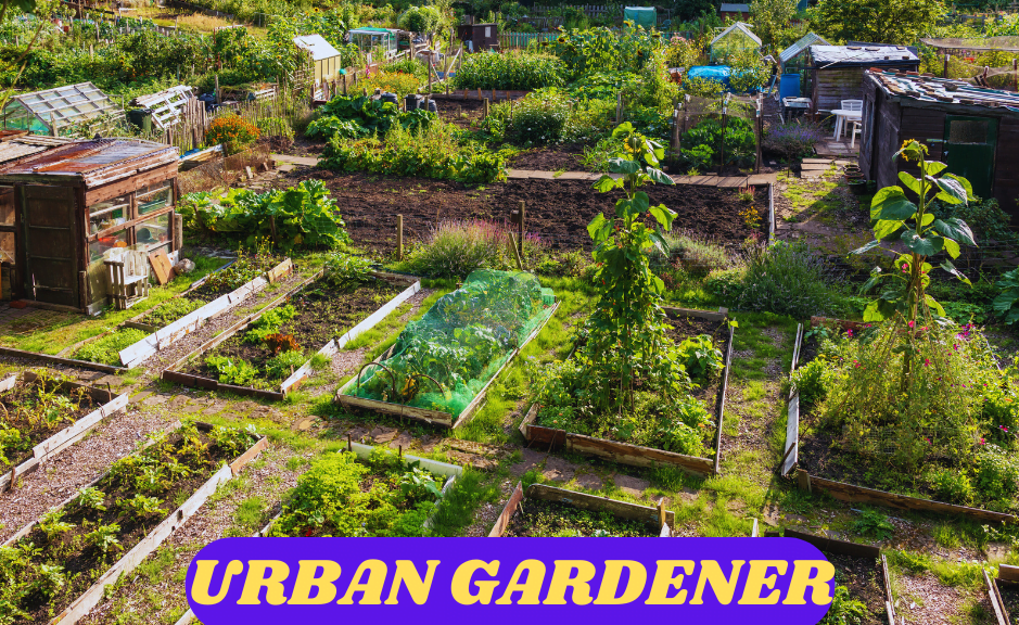 Urban Gardener Raised Garden Bed