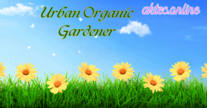 urban organic gardener
